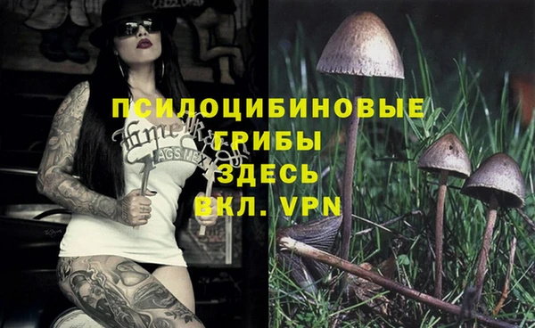 spice Дмитровск