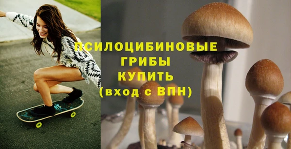 mix Дмитриев