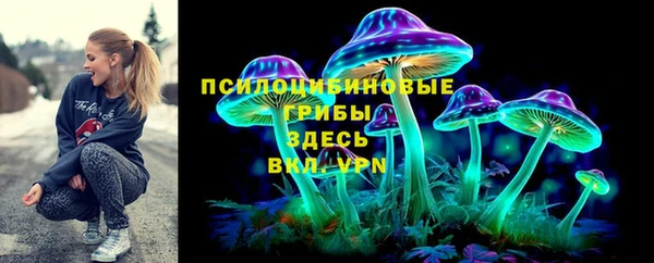 ГАЛЛЮЦИНОГЕННЫЕ ГРИБЫ Дмитров